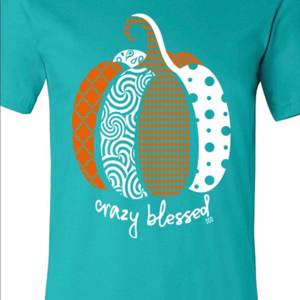 Bella Canvas Crazy Blessed T-shirt
